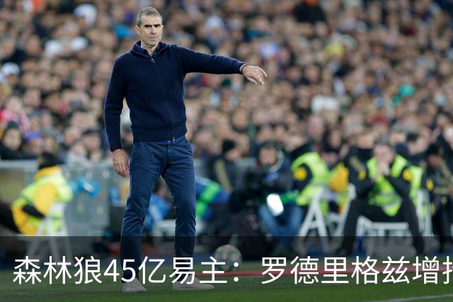 森林狼45亿易主：罗德里格兹增持留守，洛尔退出